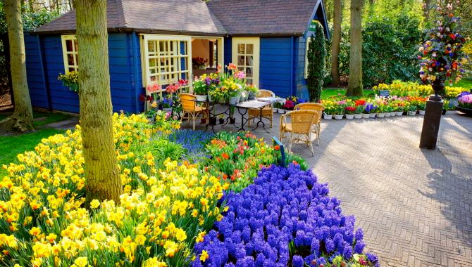 Urlaub Niederlande Reisen - Tulpenblüte in Holland – Blumenkorso,  ein Meer aus Blumen und Farben